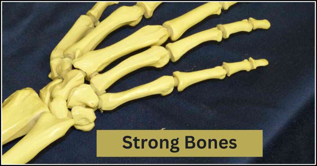 good bones