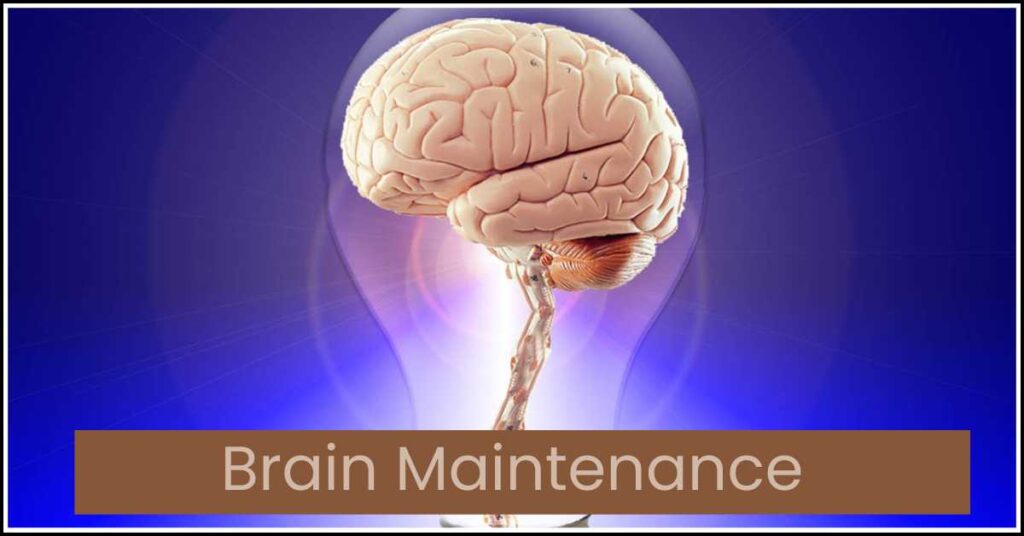 Brain Maintaince