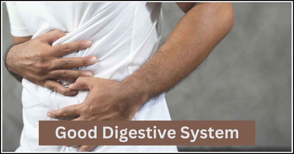 good digestive solution