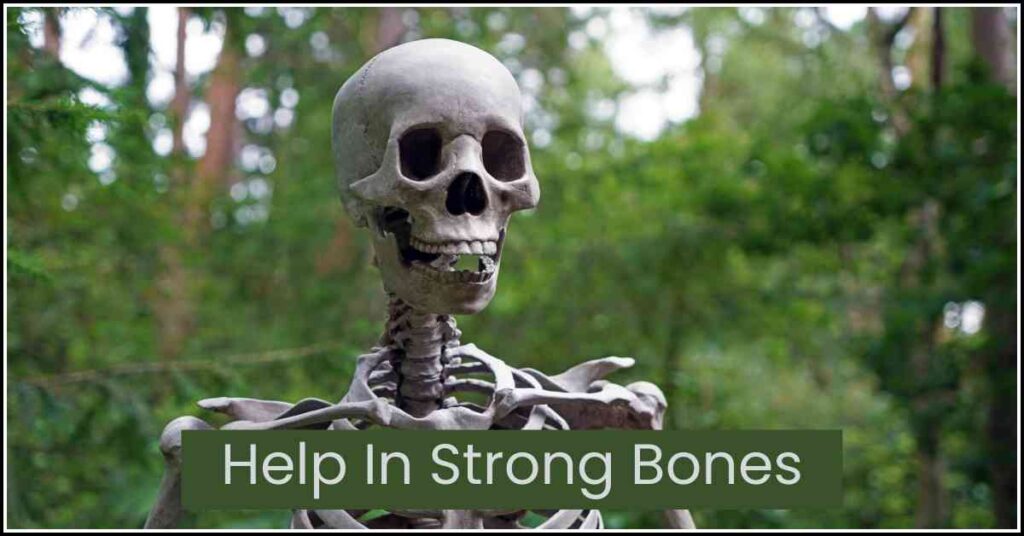 gamma oryzanol help bones strong