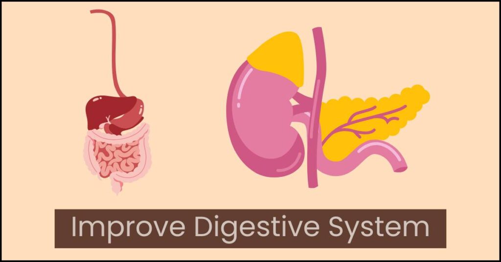 Improve Digestive Systems With Anardana Goli